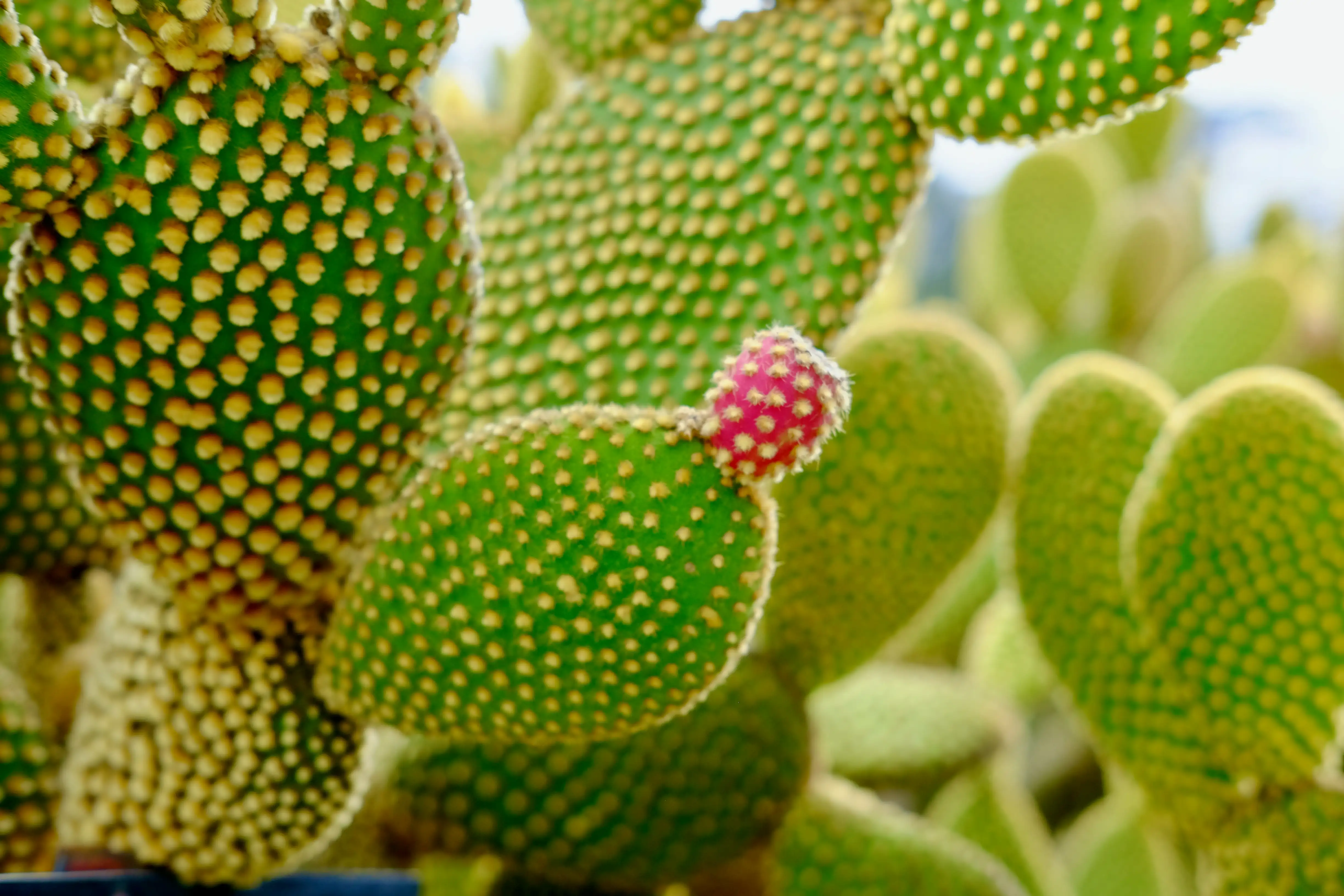 Photo Selected Work--00005--2fee0d61-c0d6-443f-b65a-3778d6169a30