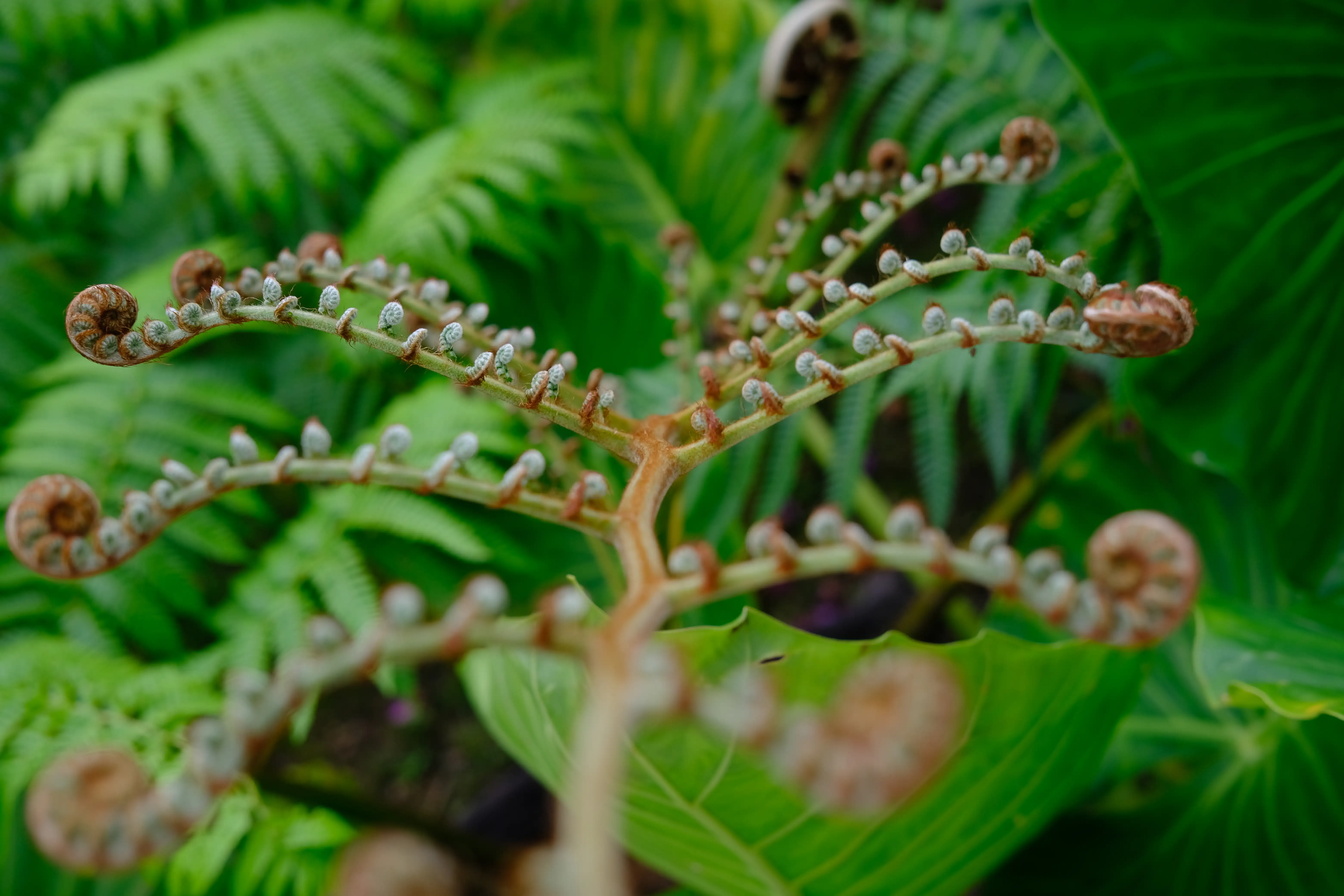 Photo Selected Work--00016--8fbf65b4-83c7-4453-a1c0-d87e552d67a0