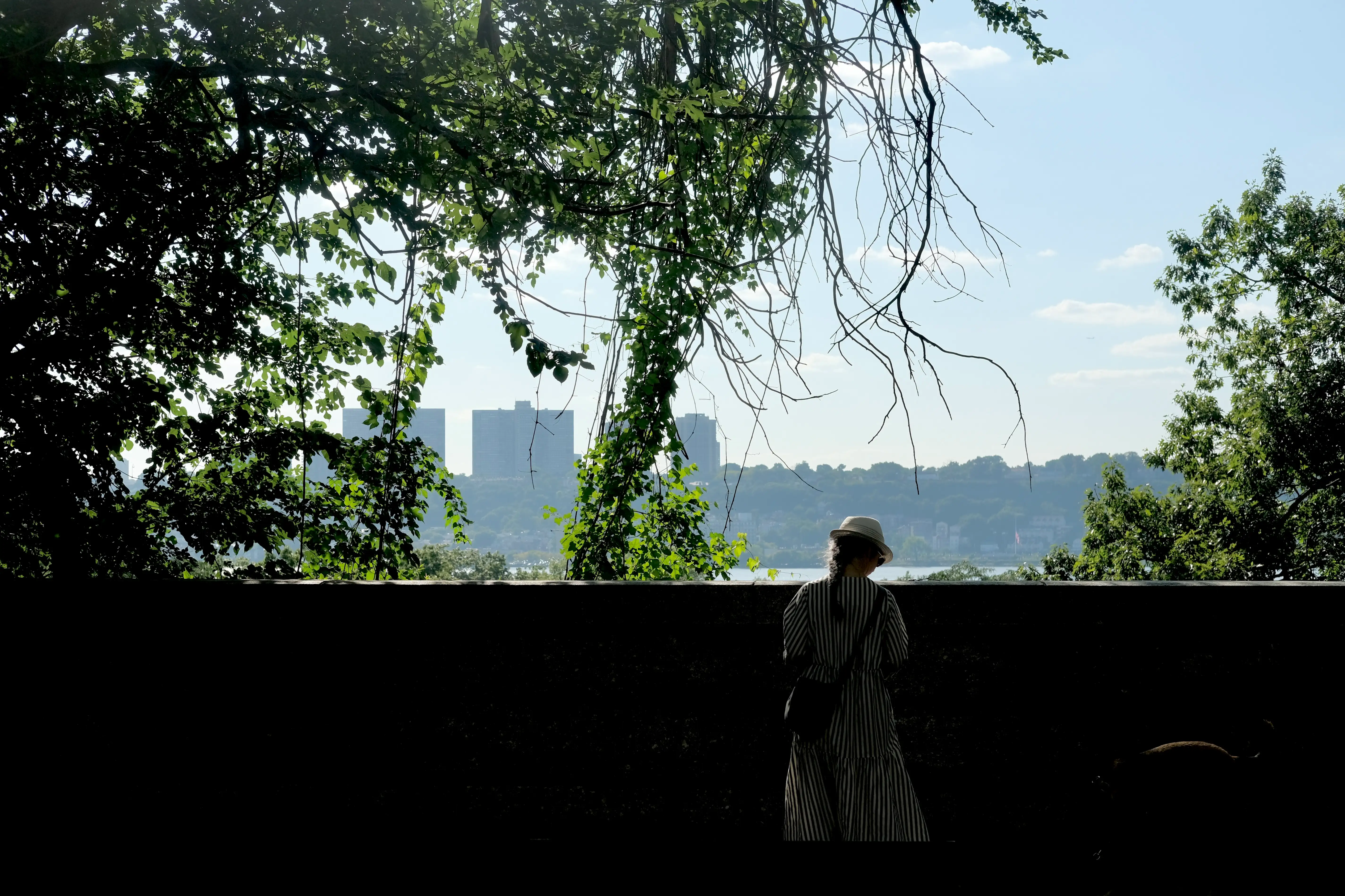 Photo Street--00001--1c076cc6-c19c-4743-848a-3400f3590729