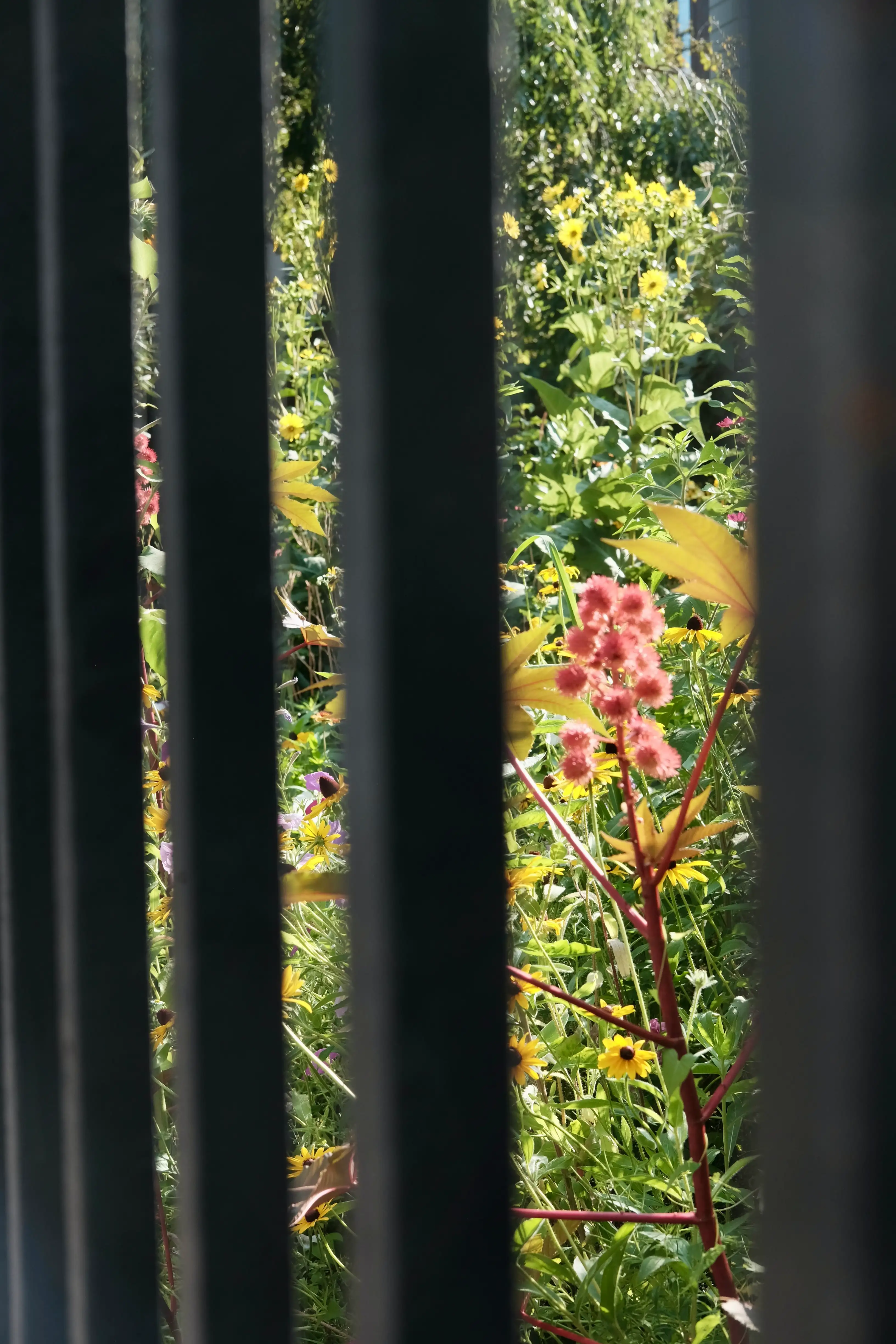 Photo Street--00011--2417e9df-ac68-4cb5-814a-05e797798af0