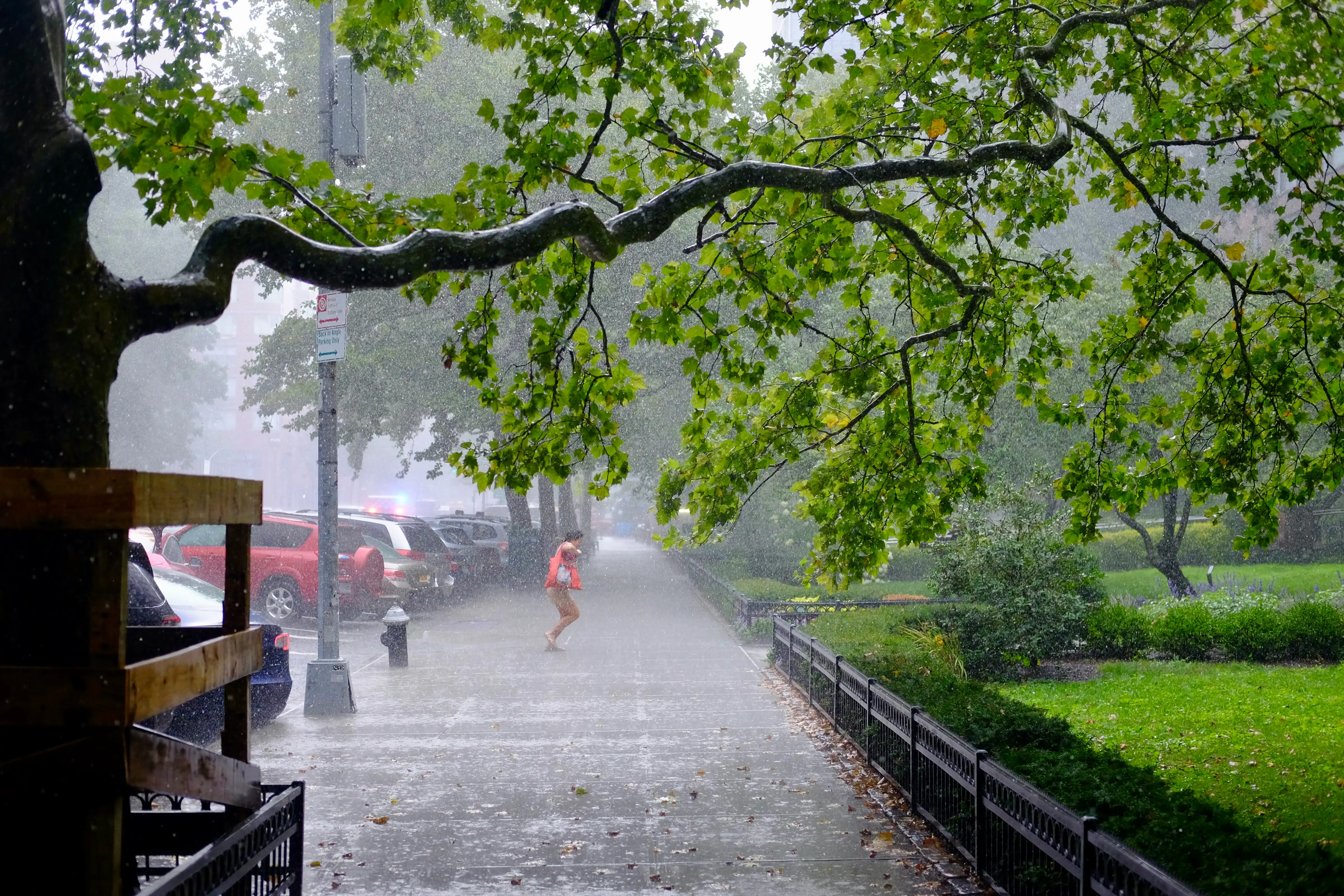 Photo Street--00014--75d1647c-219f-491a-b2e1-2804d01a41f0