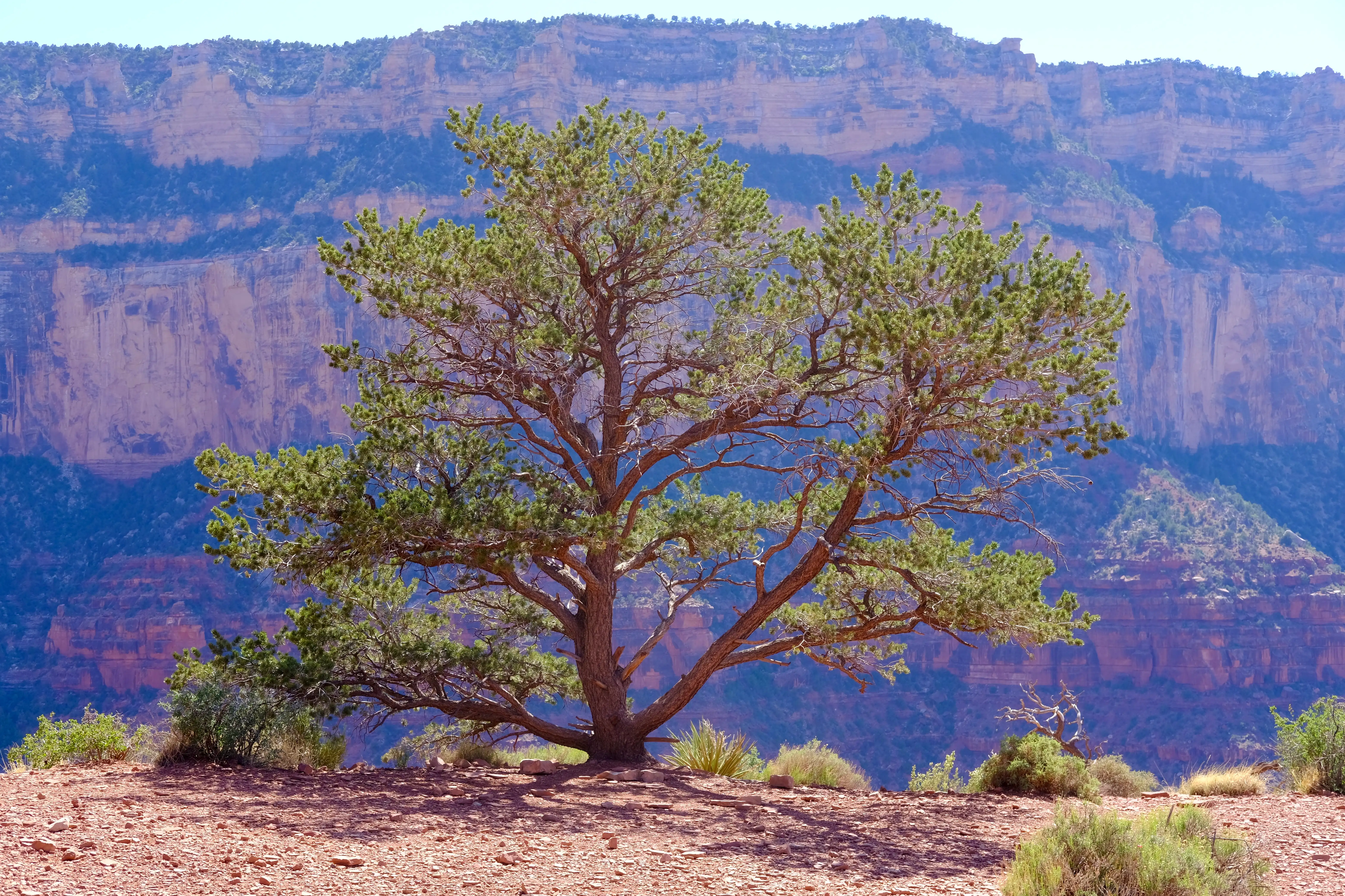 Photo Travel--00021--a361cc62-75da-4c71-ae1c-59000e4e61b2