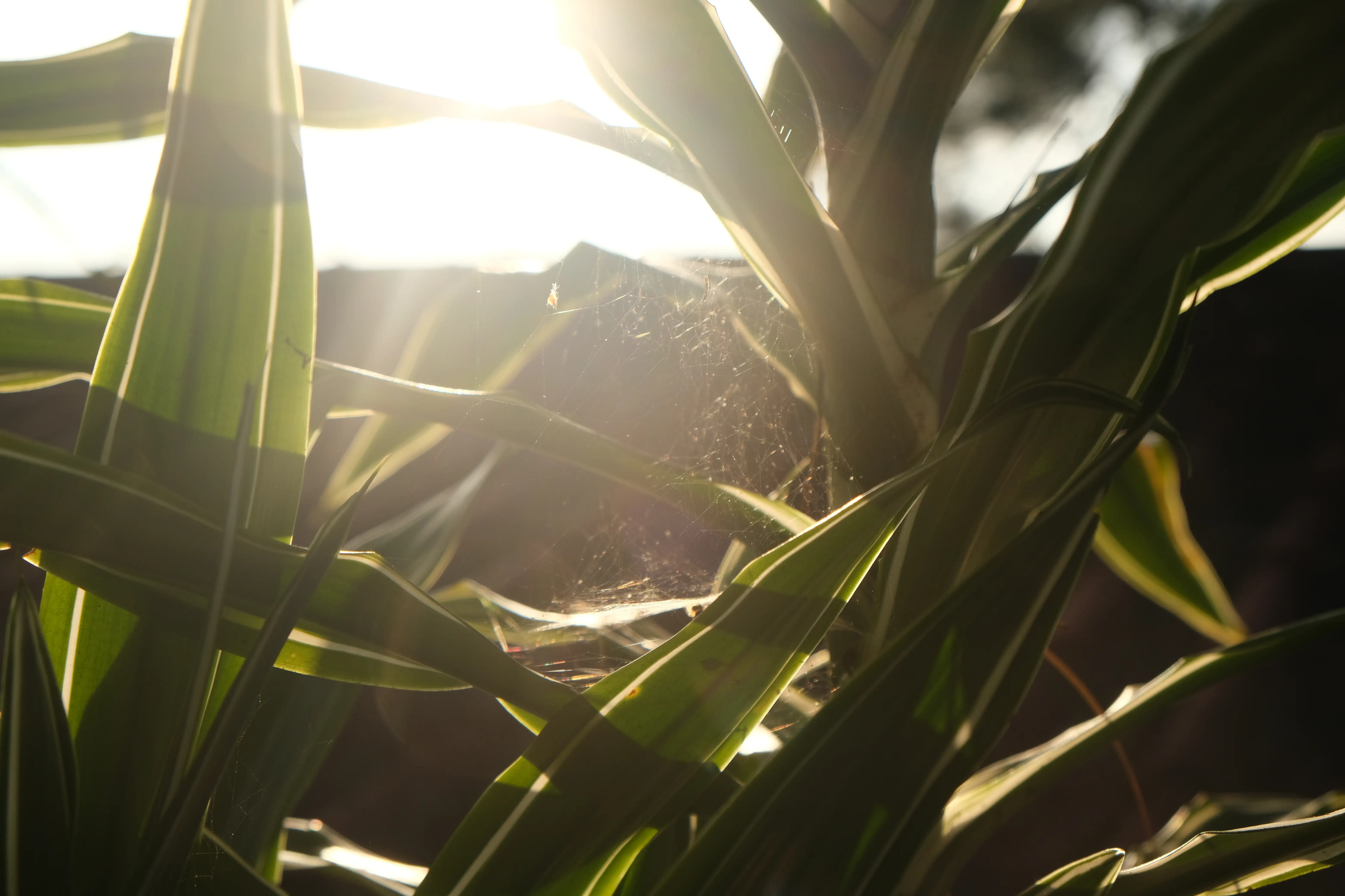 Photo Selected Work--00025--0ce780ef-4506-4c7a-a9cc-bbdef02e22e9